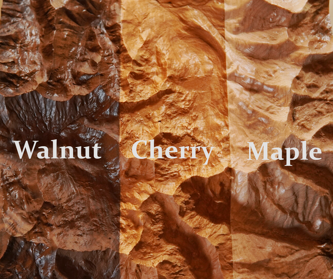 maple