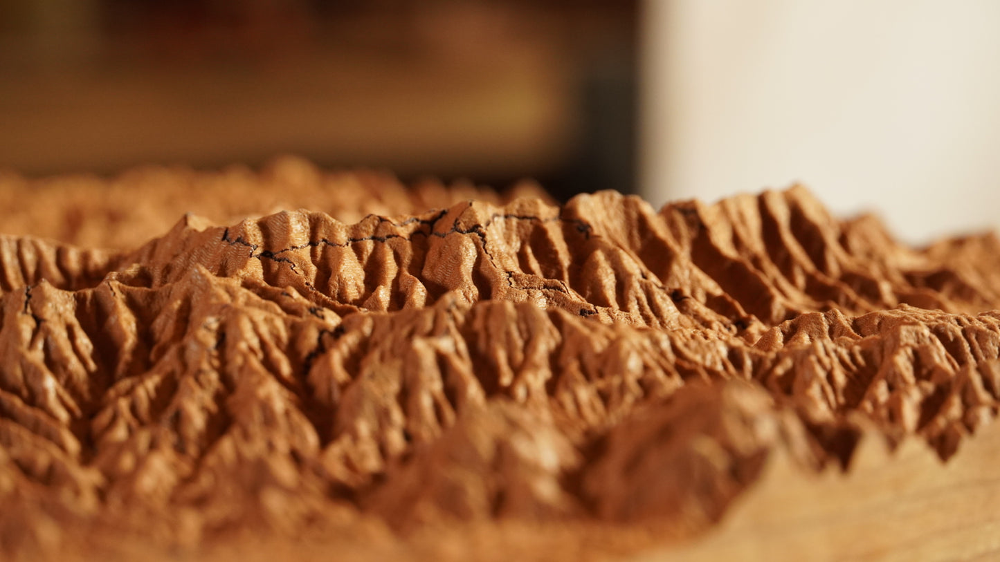 TEST Completely Custom Wooden Map | Personalized Topographic Map TEST