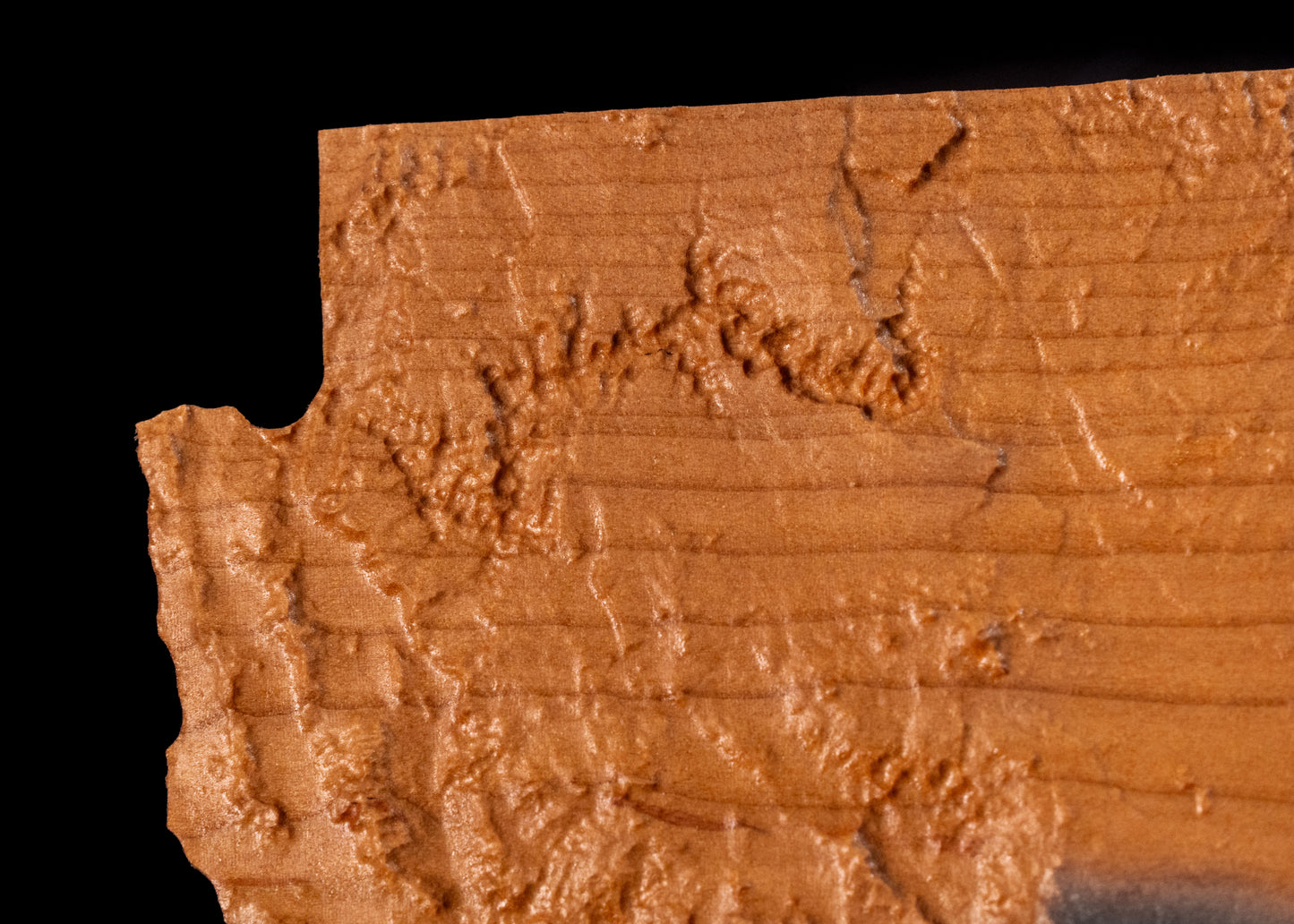 Arizona 3D Wooden Map | Arizona Topographic Map in Wood | Wooden Map of Arizona